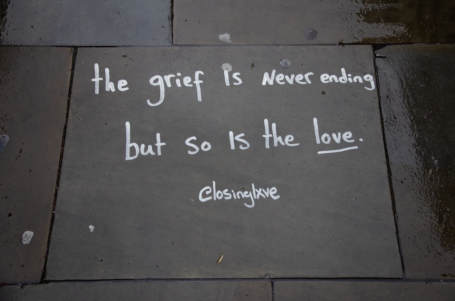 The Path to Becoming an Academic Scholar